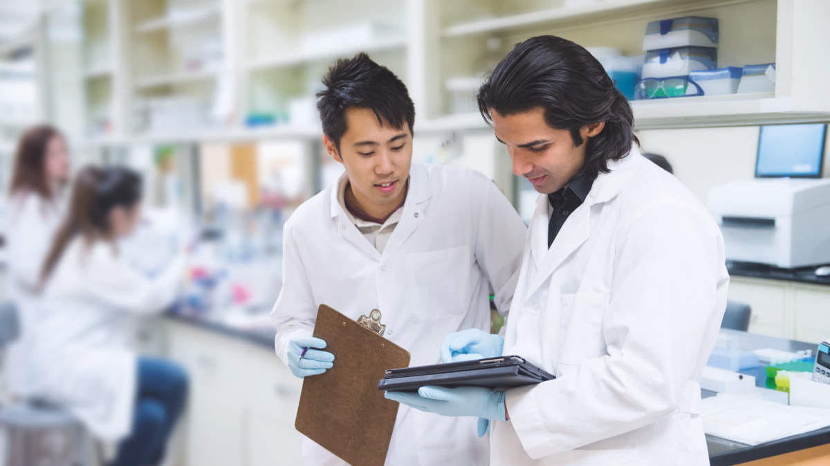 People working in lab